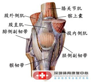 髌骨关节炎症状是什么？